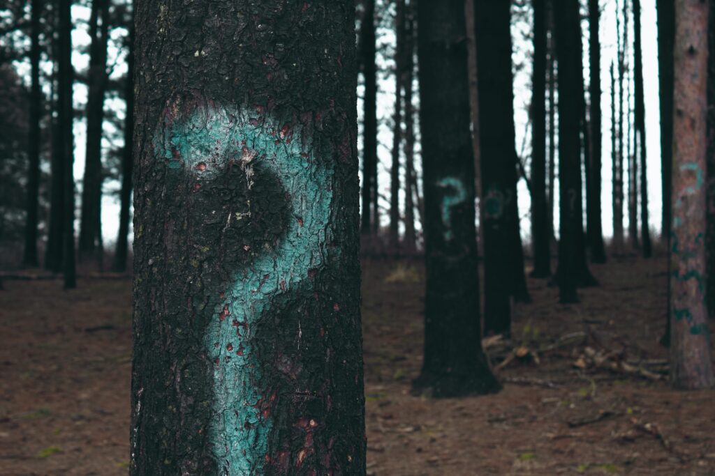 trees with question marks